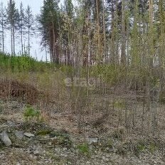 11,5 сотки, участок - изображение 4