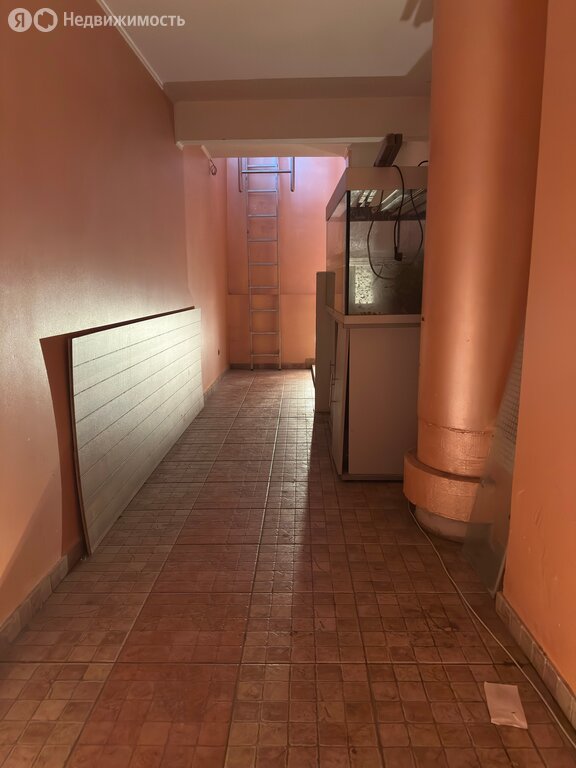 4-комнатная квартира: Нижний Новгород, улица Белинского, 62 (217 м²)