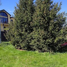 дом + 12 соток, участок - изображение 2