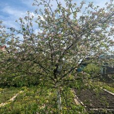 дом + 4,6 сотки, участок - изображение 1