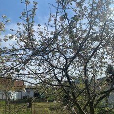 дом + 4,6 сотки, участок - изображение 3