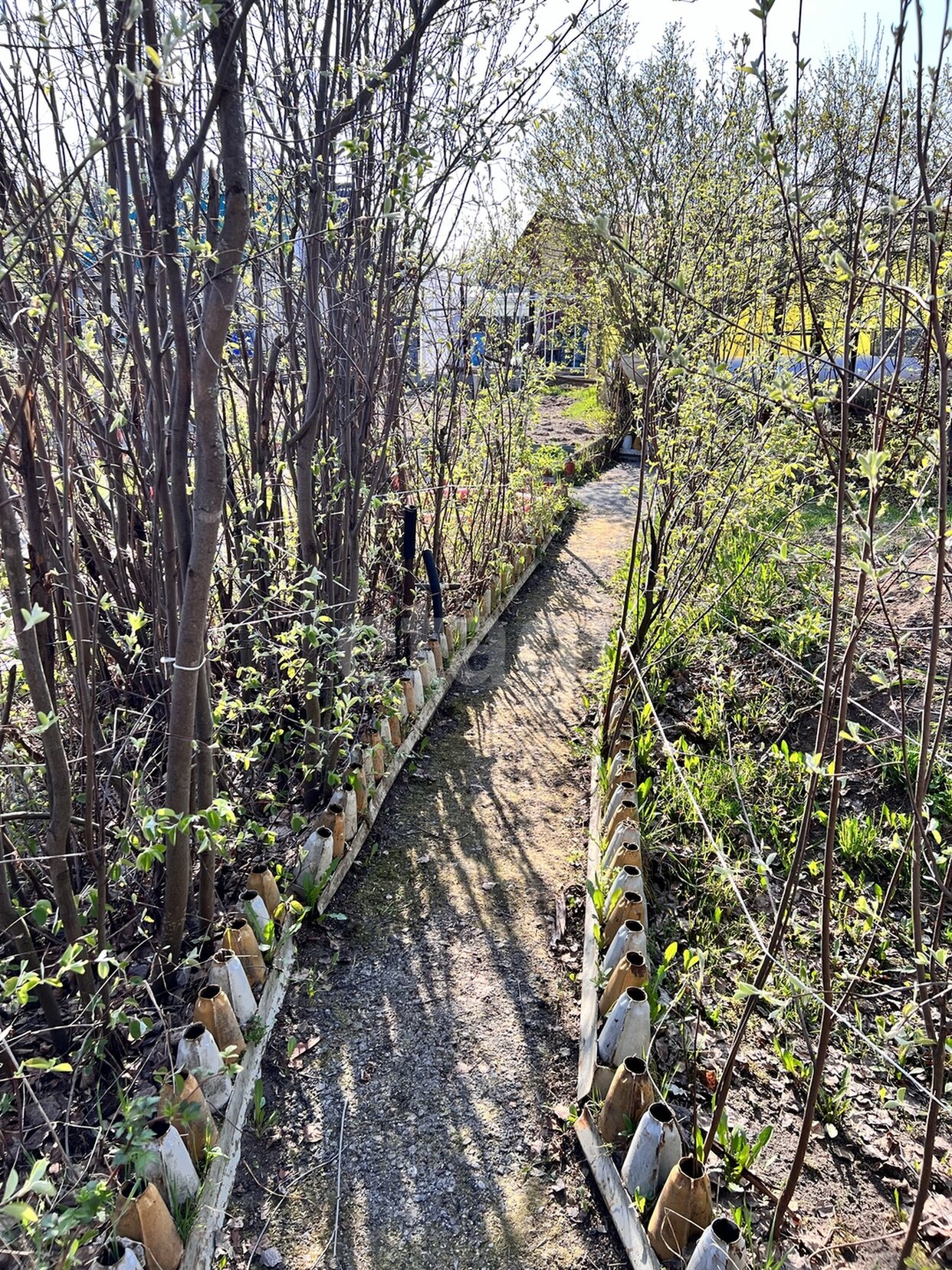 Дом 2-комн. 48 м² в СОПК Гидромеханизатор — фото 8 из 30