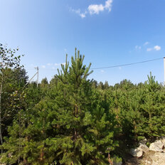 11,1 сотки, участок - изображение 2