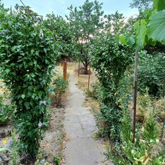 дом + 7 соток, участок - изображение 4