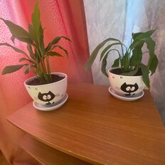 Квартира 42 м², 1-комнатная - изображение 5