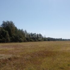 15,5 сотки, участок - изображение 3