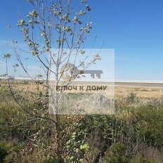 2,9 га, участок коммерческого назначения - изображение 3