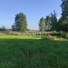 10,2 сотки, участок - изображение 3