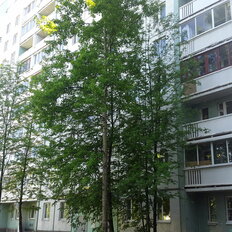 Квартира 52,1 м², 2-комнатная - изображение 4