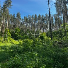 20 соток, участок - изображение 2