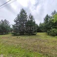 15 соток, участок - изображение 5