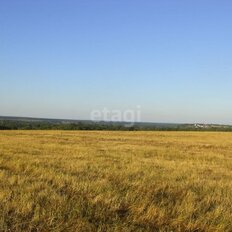 20 соток, участок - изображение 1