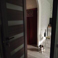 Квартира 32,9 м², 1-комнатная - изображение 1