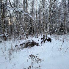 15 соток, участок - изображение 2