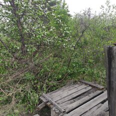 5 соток, участок - изображение 3