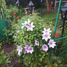 Квартира 52,9 м², 2-комнатная - изображение 1