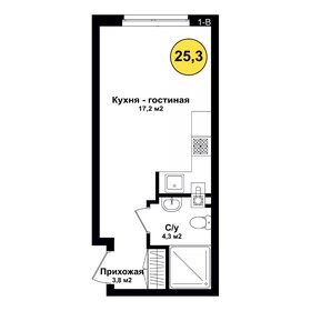 Квартира 25,3 м², студия - изображение 1