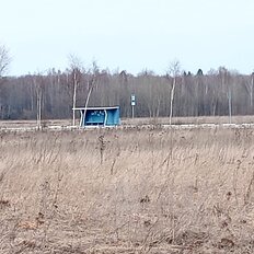 15 соток, участок - изображение 5