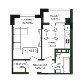 Квартира 43,5 м², 1-комнатная - изображение 1