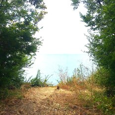 8 соток, участок - изображение 1