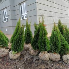 Квартира 38 м², 1-комнатная - изображение 1