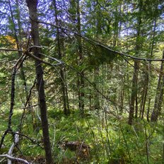 15 соток, участок - изображение 1