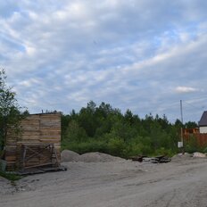 12 соток, участок - изображение 4