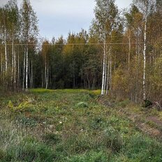 12 соток, участок - изображение 1