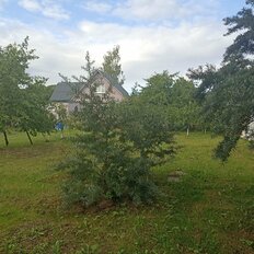 15 соток, участок - изображение 2