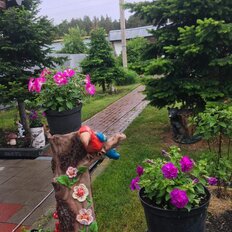 дуплекс + 15 соток, участок - изображение 3