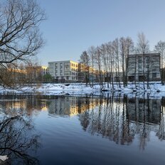 Квартира 48,5 м², 1-комнатные - изображение 4