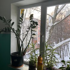 Квартира 30 м², 1-комнатная - изображение 5