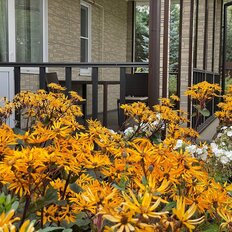 дом + 10 соток, участок - изображение 5