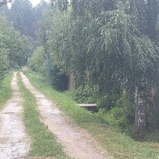 10 соток, участок - изображение 5