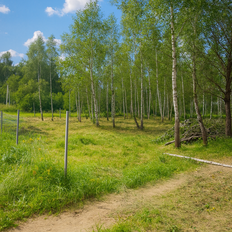 10 соток, участок - изображение 4