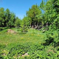 6 соток, участок - изображение 3