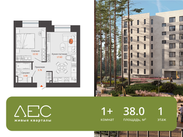 Квартира 38 м², 1-комнатная - изображение 1