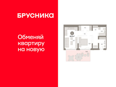 Квартира 66,6 м², 1-комнатная - изображение 1