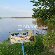 12 соток, участок - изображение 2