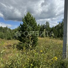 6,4 сотки, участок - изображение 5