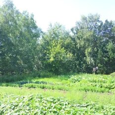 7,7 сотки, участок - изображение 2