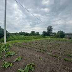 8 соток, участок - изображение 5