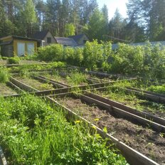 дом + 7 соток, участок - изображение 2