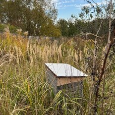 дом + 9 соток, участок - изображение 3