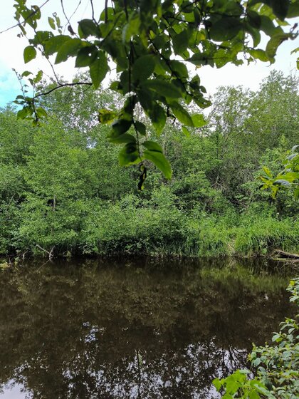 45,4 м², 1-комнатная квартира 7 100 000 ₽ - изображение 12