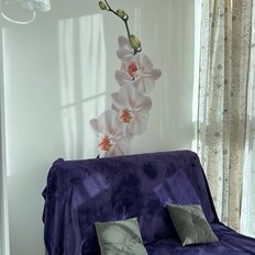 Квартира 35 м², студия - изображение 5