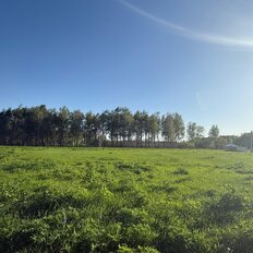 10 соток, участок - изображение 1