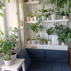 Квартира 38 м², 1-комнатная - изображение 3