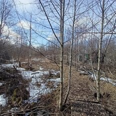 12 соток, участок - изображение 1