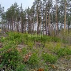 11,5 сотки, участок - изображение 3